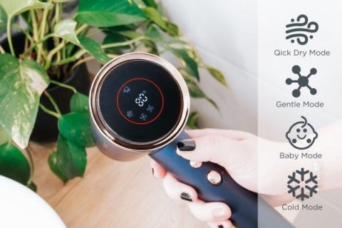 Suszarka do włosów BLDC VV8100 CONCEPT