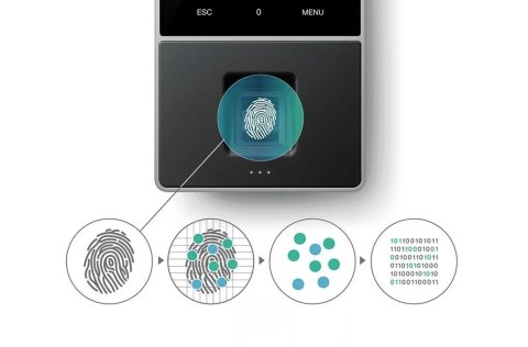 SAFESCAN SYSTEM REJESTRACJI CZASU PRACY TM-828 SC