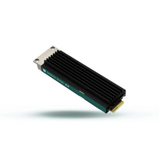 Dysk SSD Goodram DC10M 3.84TB E1.S (9.5mm) NVMe Gen4 GEDC10S100-3T8NS10B (DWPD 1)