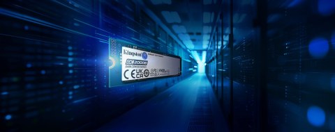 Dysk SSD Kingston DC2000B 480GB M.2 2280 (DWDP 0.4) SEDC2000BM8/480G