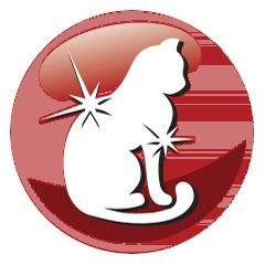 PREVITAL -Z wołowiną karma sucha - Pełnoporcjowa karma dla dorosłych kotów - 1,4kg