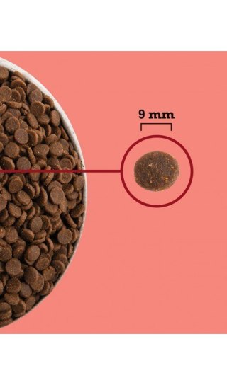 ACANA Highest Protein Indoor Cat 4,5kg