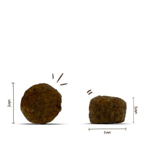 BOSCH Sanabelle Adult Poultry kurczak 2kg