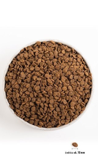 ORIJEN Original Cat - sucha karma dla kota - 340g