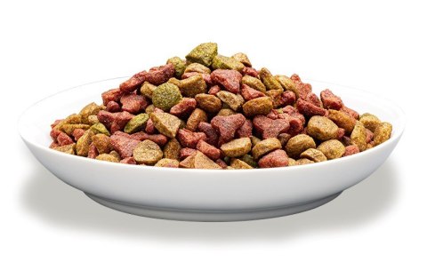 PREVITAL kurczak karma sucha dla kotów 300g