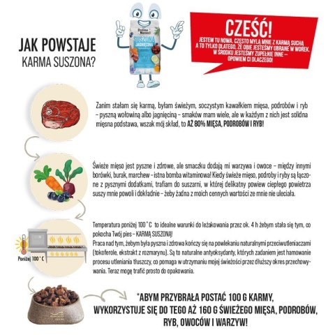 Dolina Noteci Premium Wołowina sucha karma dla psa 3kg