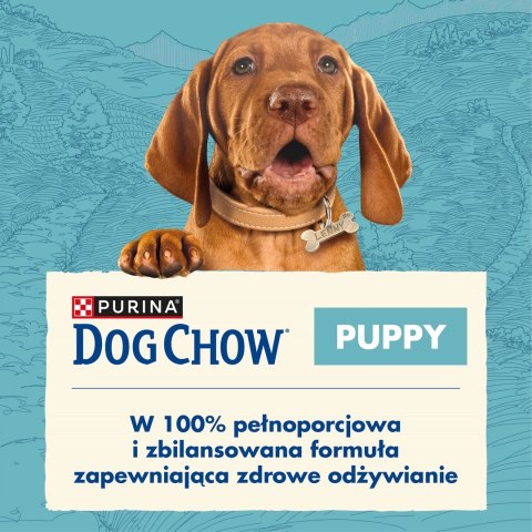 PURINA DOG CHOW Puppy Lamb - sucha karma dla szczeniąt wszystkich ras - 14 kg