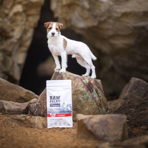 VetExpert Raw Paleo Ultra Wołowina Mini Adult 2kg (WYPRZEDAŻ)