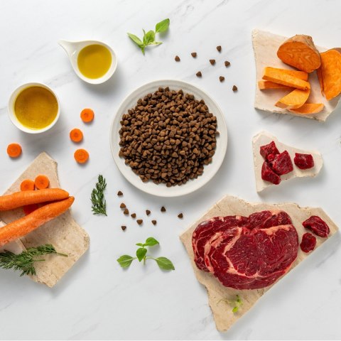 VetExpert Raw Paleo Ultra Wołowina Mini Adult 2kg (WYPRZEDAŻ)