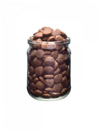 BRIT Fresh Fish & Pumpkin Adult Large muscles & joints 12kg (WYPRZEDAŻ)