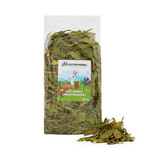 FACTORYHERBS Liść babki lancetowatej 100g