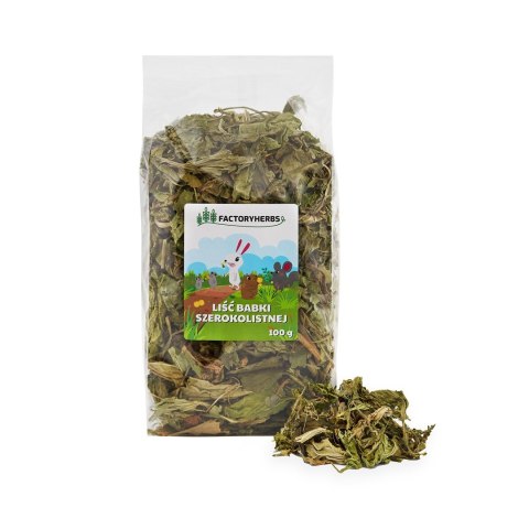 FACTORYHERBS Liść babki szerokolistnej 100 g
