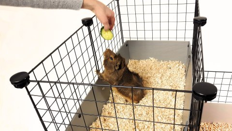 Klatka modułowa C&C 3x2 + Loft 2x1+ Rampa czarna