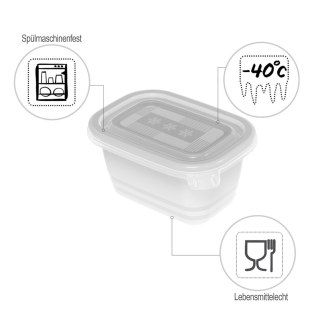 Rotho Freeze zestaw pojemników do mrożenia 6 x 0,25l
