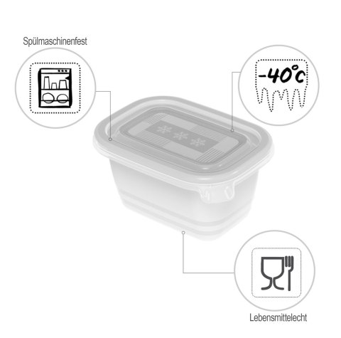 Rotho Freeze zestaw pojemników do mrożenia 6 x 0,25l