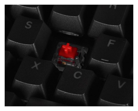 Klawiatura gamingowa ENDORFY Omnis Kailh Red RGB