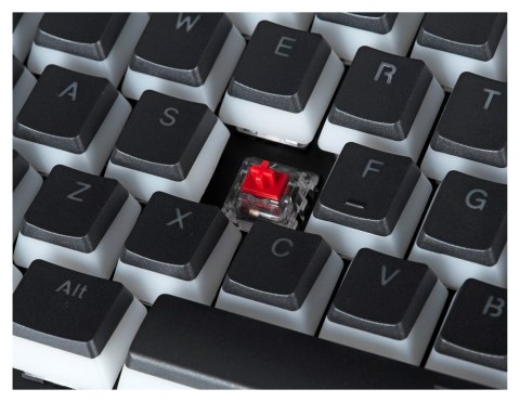 Klawiatura gamingowa ENDORFY Omnis Pudding Red RGB