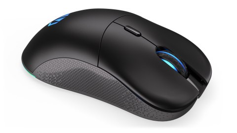 Mysz ENDORFY GEM Plus Wireless