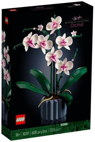 X LEGO Icons 10311 Orchidea