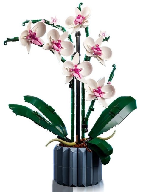 X LEGO Icons 10311 Orchidea