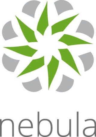 Licencja Zyxel Nebula Professional Pack (Na Urządzenie) 1 ROK