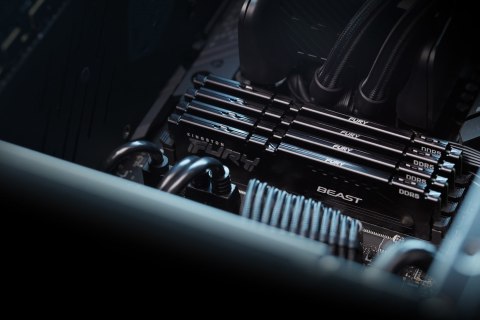 Kingston FURY DDR5 8GB (1x8GB) 5600MHz CL36 Beast Black EXPO