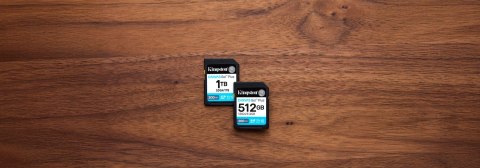 Karta pamięci Kingston Canvas Go Plus SDG4/1TB (1TB; Class U3, V30; Karta pamięci)