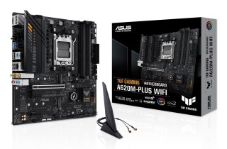 Płyta główna ASUS TUF GAMING A620M-PLUS WIFI