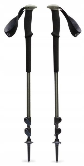 Kije trekkingowe Black Diamond Trail Trekking Poles Pine Smoke