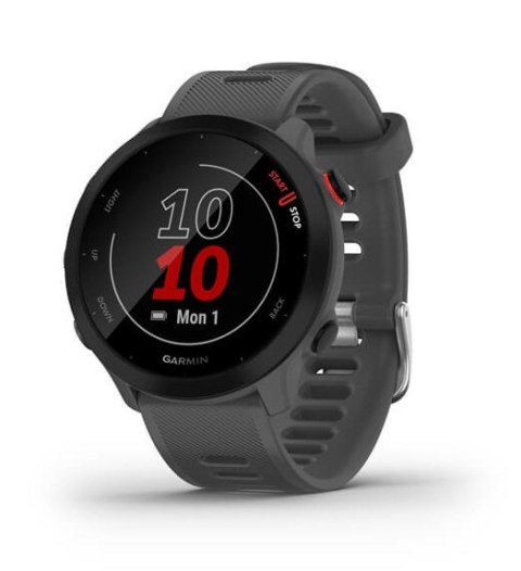 Zegarek sportowy Garmin Forerunner 55 Szary (010-02562-13)