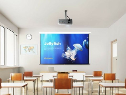 VIEWSONIC PROJEKTOR PA504W