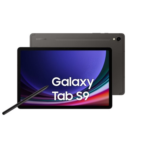 Samsung Galaxy Tab S9 11.0 (X716) 5G 12/256GB Graphite