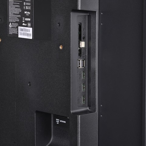 Telewizor 43" Philips 43PUS8010/12