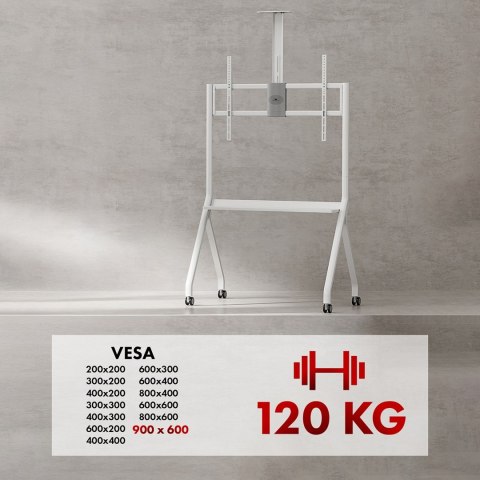 MACLEAN STAND / WÓZEK DO TV, PÓŁKA NA KAMERĘ, NA KÓŁKACH, 55-100", MAX. OBCIĄŻENIE 120KG/10KG PÓŁKA, MAX. VESA 900X600 MC-114