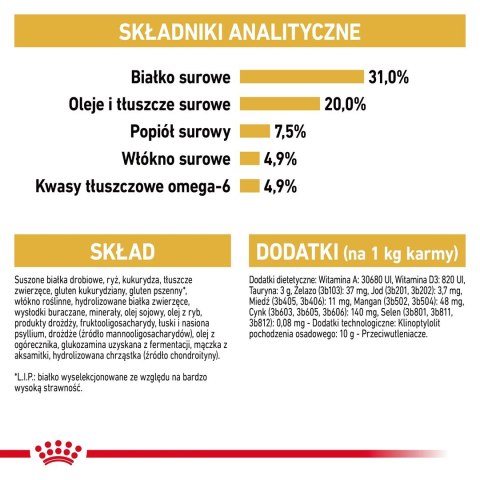 ROYAL CANIN FBN Maine Coon Adult - sucha karma dla dorosłego kota - 10kg