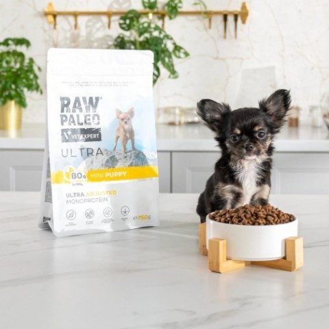 VetExpert Raw Paleo Ultra Indyk Mini Puppy 8kg (WYPRZEDAŻ)