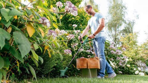 PODKASZARKA EASYGRASSCUT 18V-26 06008C1C04 BOSCH