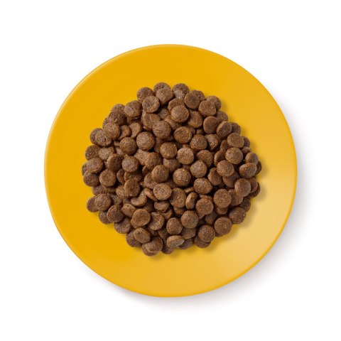 Applaws Cat Dry Senior Chicken 2kg (WYPRZEDAŻ)