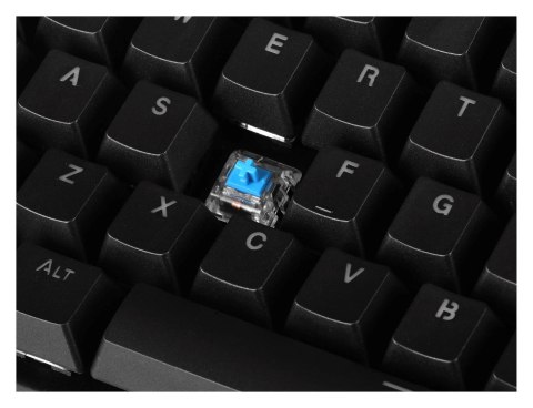 Klawiatura gamingowa ENDORFY Thock TKL Kailh Blue RGB